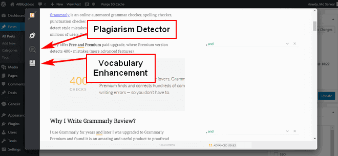 Grammarly For WordPress