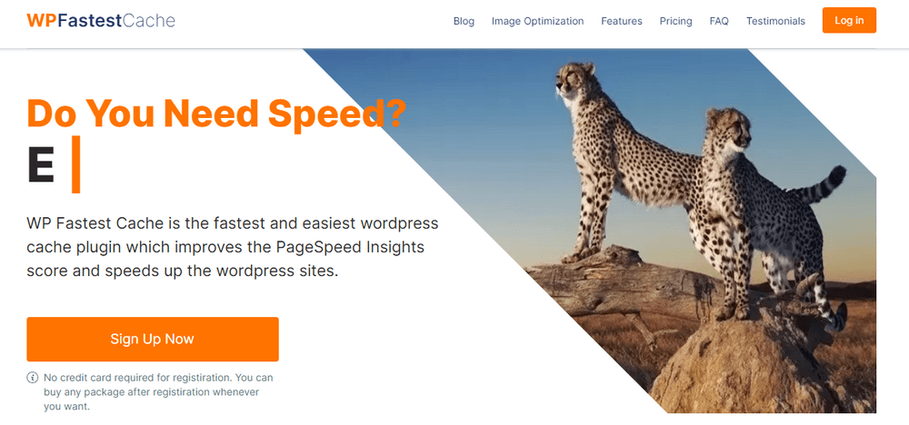 6 Best WordPress Caching Plugins to Make Website Faster 11